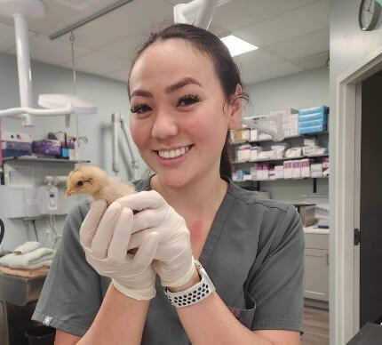 Exotic Pet Care