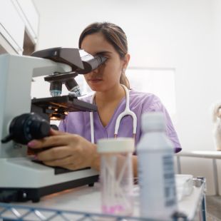 haleolahomepagediagnostics