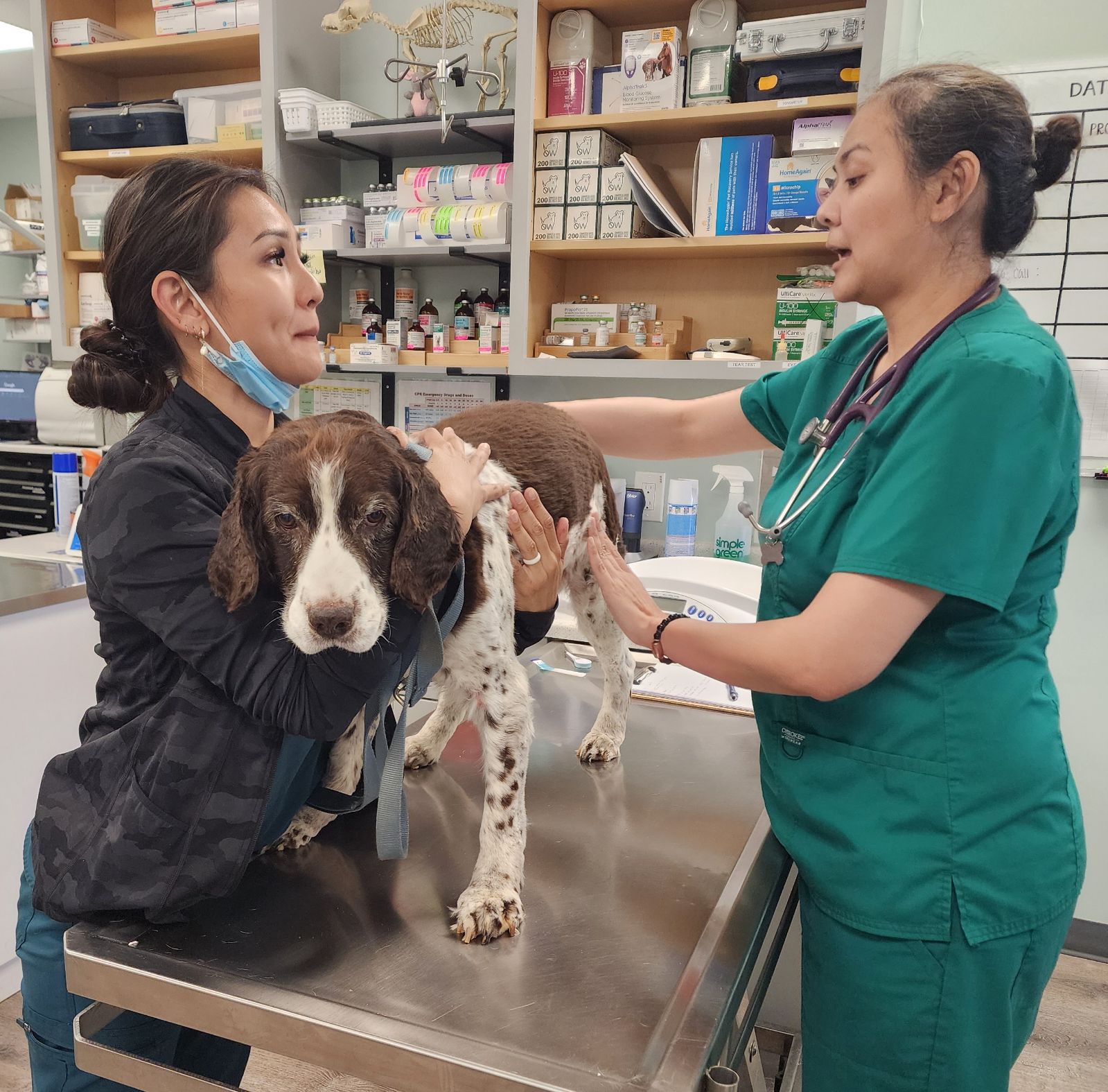 Hale_Ola_Vet_Services