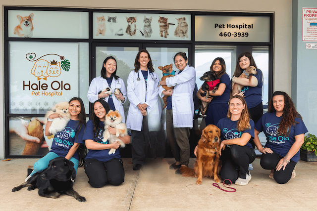 Hale Ola Pet Hospital: Top Rated Waipahu Veterinarians